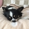 ココさんのプロフィール画像