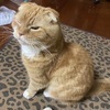 えなさんのプロフィール画像