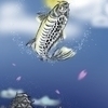 Yamaさんのプロフィール画像