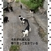 さくらさんのプロフィール画像