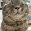 まーくん