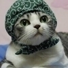 tさんのプロフィール画像
