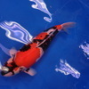 タカトラさんのプロフィール画像