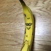 ブラックマンバさんのプロフィール画像