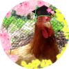 ぺんぺんフロッピさんのプロフィール画像