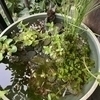 レンさんのプロフィール画像
