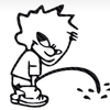 まるふぉいさんのプロフィール画像