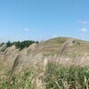 あかさかさんのプロフィール画像