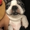 みんさんのプロフィール画像