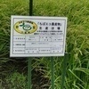 Asano farmさんのプロフィール画像