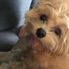 miさんのプロフィール画像