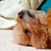 タカハシさんのプロフィール画像