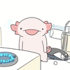 したびらめさんのプロフィール画像