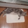 Kさんのプロフィール画像