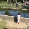 さきさんのプロフィール画像