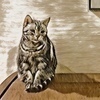 ｔさんのプロフィール画像