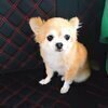 chumuさんのプロフィール画像