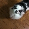 puki さんのプロフィール画像