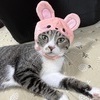 みかんさんのプロフィール画像