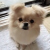 なっちゃんさんのプロフィール画像