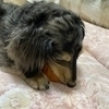 yuki.T..さんのプロフィール画像
