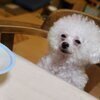 すみっこさんのプロフィール画像