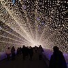 アーモンドさんのプロフィール画像