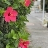 みっちさんのプロフィール画像