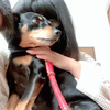 yukaさんのプロフィール画像