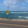 Honolulu_Sさんのプロフィール画像