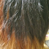 HiRoMuさんのプロフィール画像