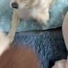 syさんのプロフィール画像