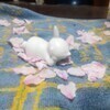 かのかさんのプロフィール画像
