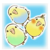 いさみさんのプロフィール画像