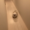 MKさんのプロフィール画像