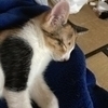 ひなさんのプロフィール画像