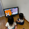 たーたんさんのプロフィール画像