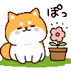 お天気わんこ