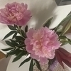 わんこさんのプロフィール画像