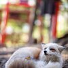 あるまさんのプロフィール画像