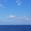りえさんのプロフィール画像