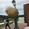 ニコフさんのプロフィール画像