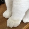 みいままさんのプロフィール画像