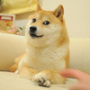 柴さんのプロフィール画像