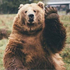 クマきちさんのプロフィール画像