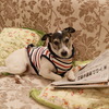 SAMさんのプロフィール画像