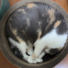 ま〜さんのプロフィール画像
