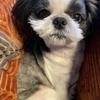 りなさんのプロフィール画像