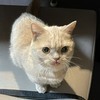 あっきぃさんのプロフィール画像