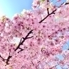 まあるさんのプロフィール画像
